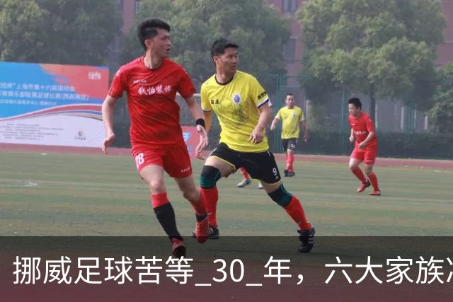 挪威足球苦等 30 年，六大家族凑世界杯主力，老国脚有啥绝招？